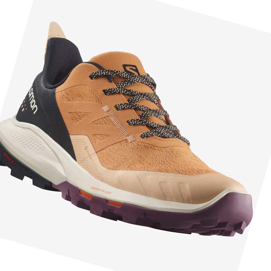 Salomon WoOUTPULSE GORE-TEX Túracipő Női Barna | HU 2786WNB